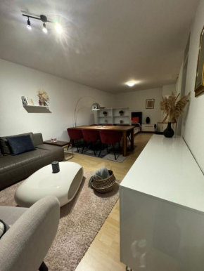 Stylish flat close to Basel with a stunning view